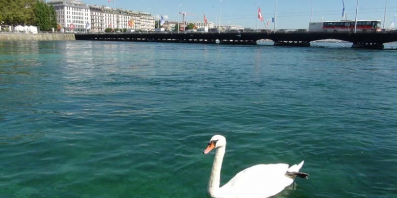 Menyelusuri Pesona Rekreasi di Seputar Danau Geneva Swiss